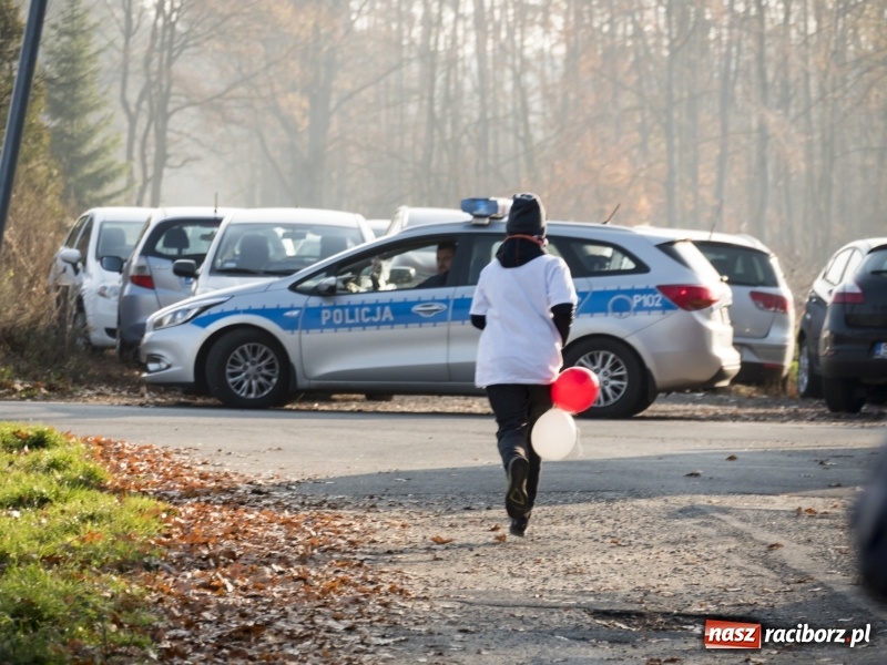 Zdjęcie w galerii na portalu naszraciborz.pl: W Kuźni Raciborskiej biegano dla Niepodległej  wiadomości z regionu