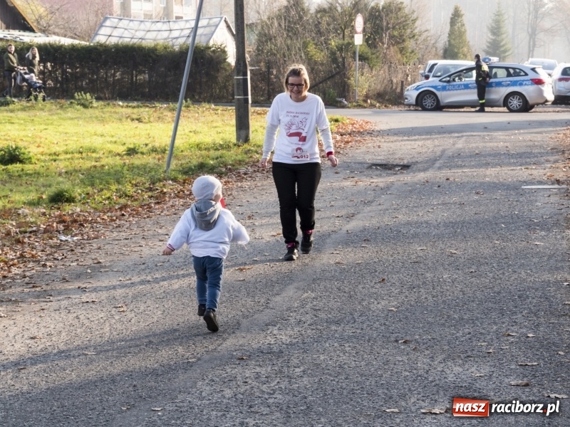 Zdjęcie w galerii na portalu naszraciborz.pl: W Kuźni Raciborskiej biegano dla Niepodległej  wiadomości z regionu