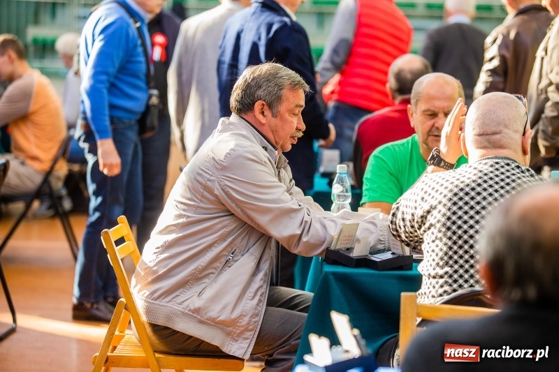 Zdjęcie w galerii na portalu naszraciborz.pl: Brydżyści walczą o Podkowę Kasztanki Marszałka wiadomości z regionu