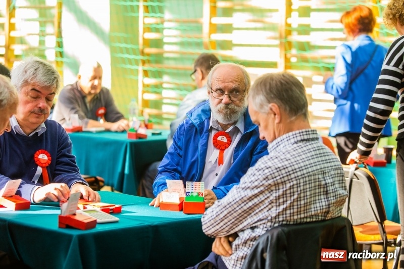 Zdjęcie w galerii na portalu naszraciborz.pl: Brydżyści walczą o Podkowę Kasztanki Marszałka wiadomości z regionu