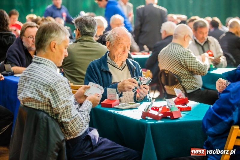 Zdjęcie w galerii na portalu naszraciborz.pl: Brydżyści walczą o Podkowę Kasztanki Marszałka wiadomości z regionu
