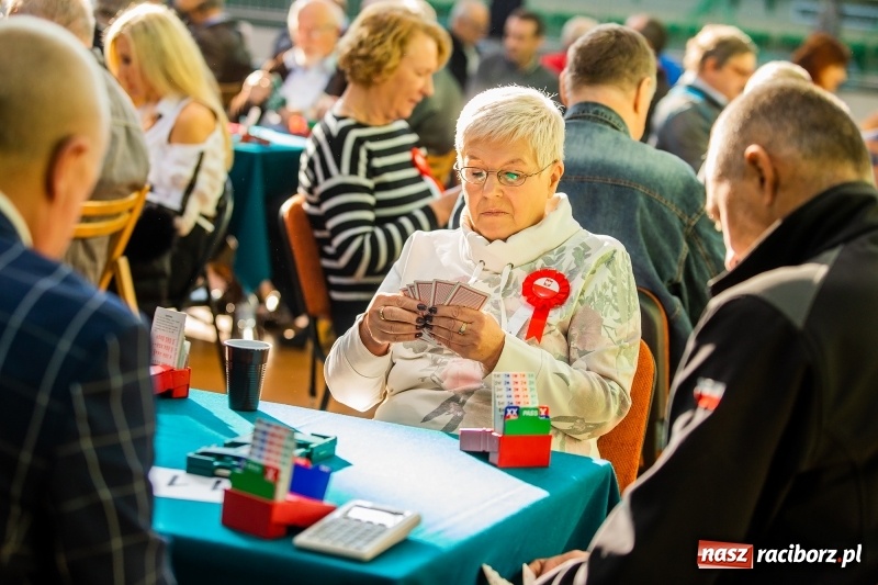 Zdjęcie w galerii na portalu naszraciborz.pl: Brydżyści walczą o Podkowę Kasztanki Marszałka wiadomości z regionu