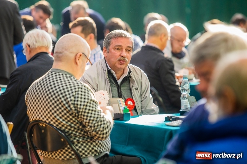 Zdjęcie w galerii na portalu naszraciborz.pl: Brydżyści walczą o Podkowę Kasztanki Marszałka wiadomości z regionu