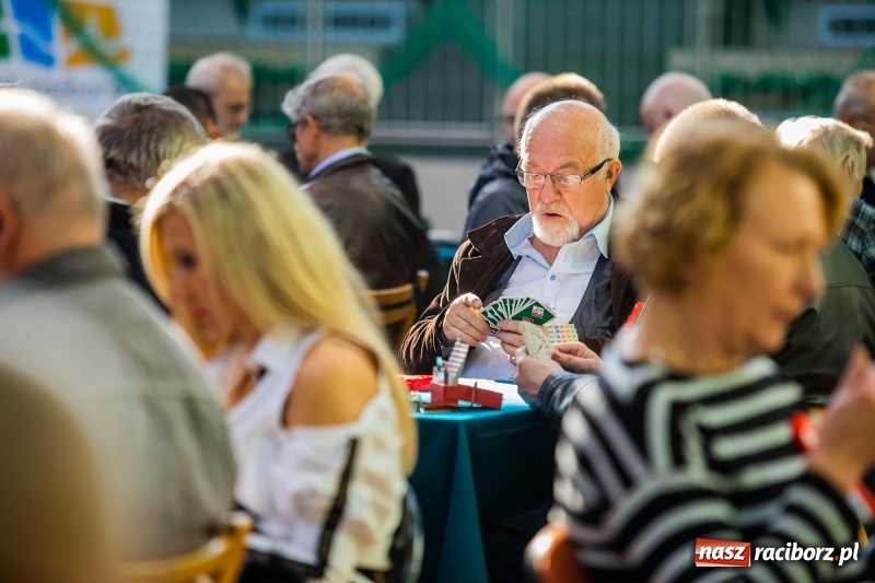 Zdjęcie w galerii na portalu naszraciborz.pl: Brydżyści walczą o Podkowę Kasztanki Marszałka wiadomości z regionu