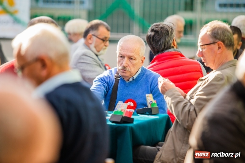 Zdjęcie w galerii na portalu naszraciborz.pl: Brydżyści walczą o Podkowę Kasztanki Marszałka wiadomości z regionu