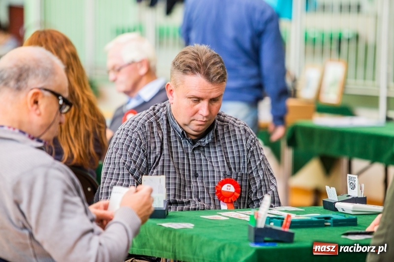 Zdjęcie w galerii na portalu naszraciborz.pl: Brydżyści walczą o Podkowę Kasztanki Marszałka wiadomości z regionu