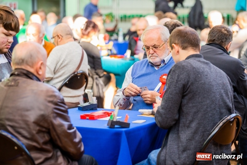 Zdjęcie w galerii na portalu naszraciborz.pl: Brydżyści walczą o Podkowę Kasztanki Marszałka wiadomości z regionu