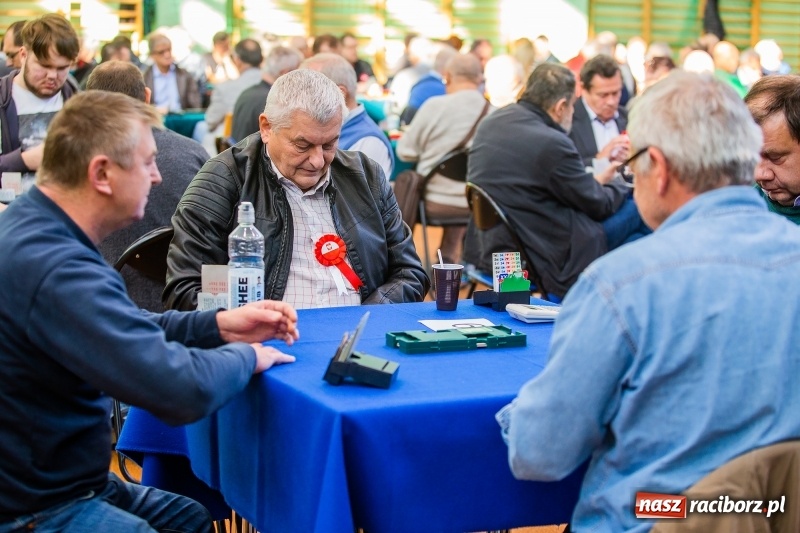 Zdjęcie w galerii na portalu naszraciborz.pl: Brydżyści walczą o Podkowę Kasztanki Marszałka wiadomości z regionu