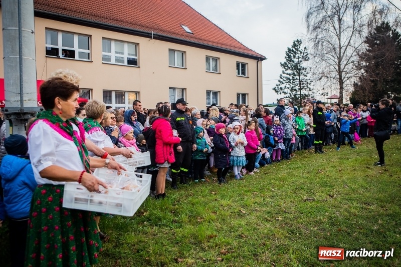 Zdjęcie w galerii na portalu naszraciborz.pl: Samborowice zapraszają na wspomnienie św. Marcina  wiadomości z regionu
