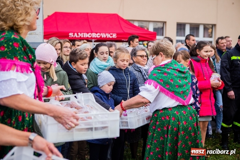 Zdjęcie w galerii na portalu naszraciborz.pl: Samborowice zapraszają na wspomnienie św. Marcina  wiadomości z regionu