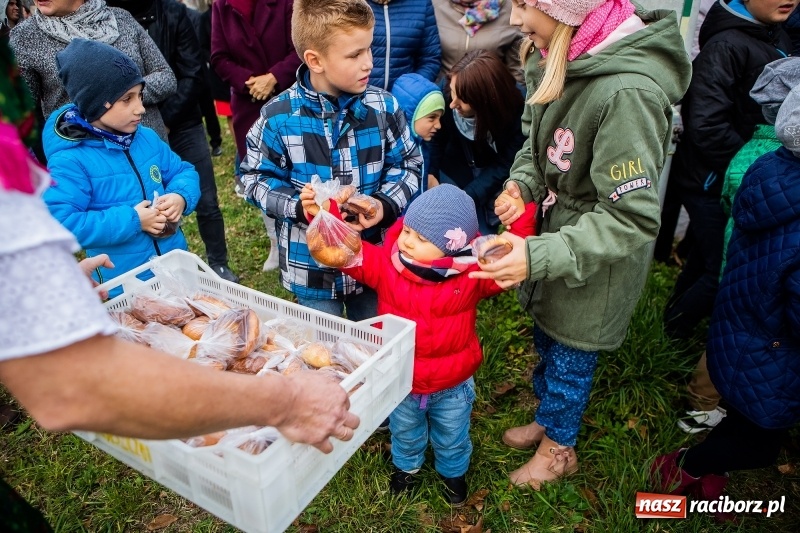 Zdjęcie w galerii na portalu naszraciborz.pl: Samborowice zapraszają na wspomnienie św. Marcina  wiadomości z regionu