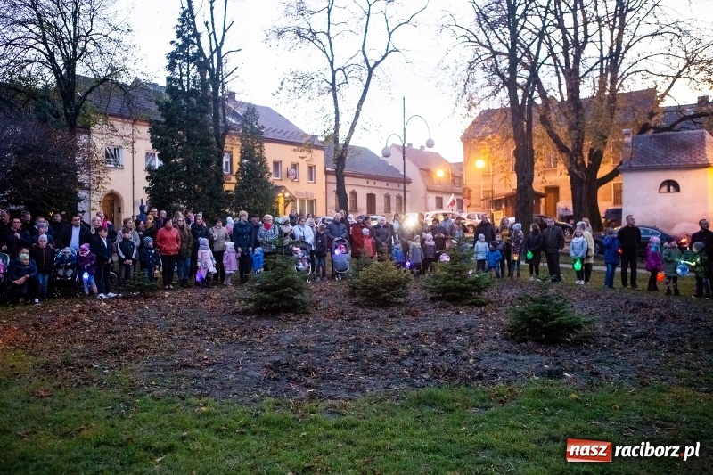 Zdjęcie w galerii na portalu naszraciborz.pl: W Krzanowicach od Mikołaszka ze świętym Marcinem na smaczne rogale wiadomości z regionu