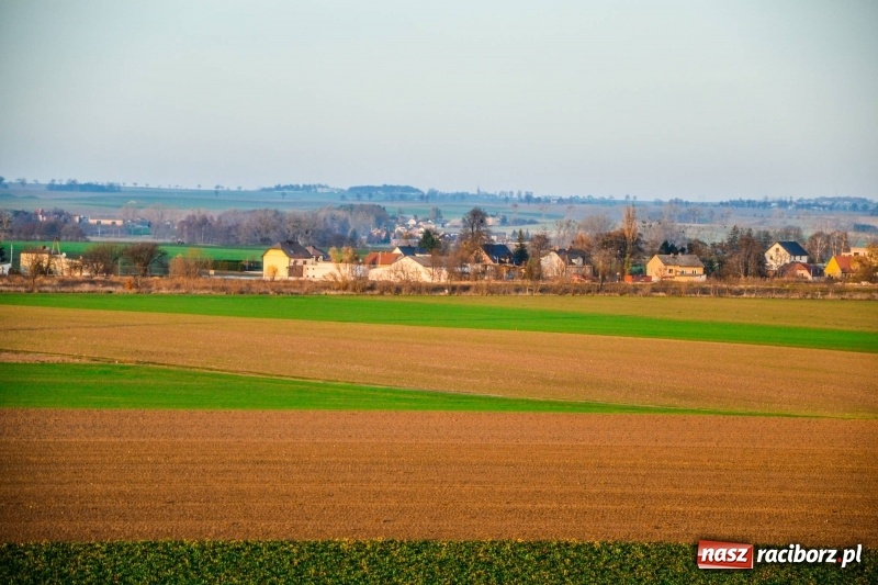 Zdjęcie w galerii na portalu naszraciborz.pl: Zobaczcie, co przy dobrej pogodzie widać z pietrowickiej wieży wiadomości z regionu