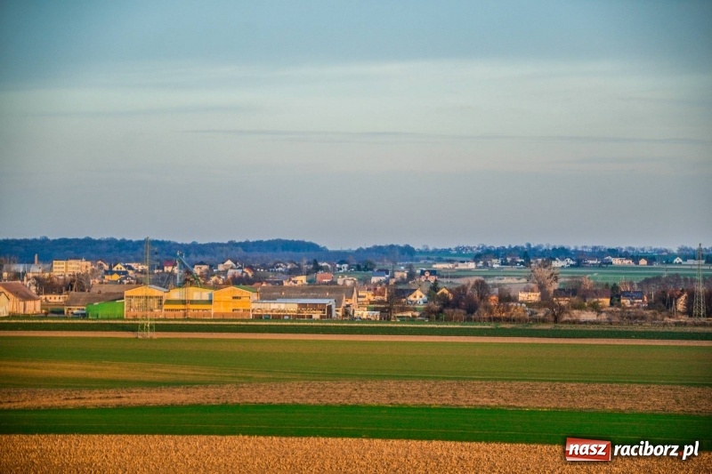Zdjęcie w galerii na portalu naszraciborz.pl: Zobaczcie, co przy dobrej pogodzie widać z pietrowickiej wieży wiadomości z regionu