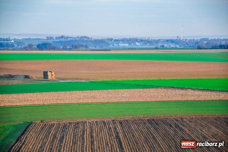 Zdjęcie w galerii na portalu naszraciborz.pl: Zobaczcie, co przy dobrej pogodzie widać z pietrowickiej wieży wiadomości z regionu