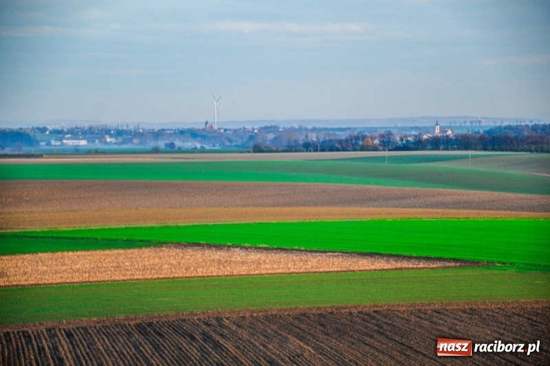 Zdjęcie w galerii na portalu naszraciborz.pl: Zobaczcie, co przy dobrej pogodzie widać z pietrowickiej wieży wiadomości z regionu
