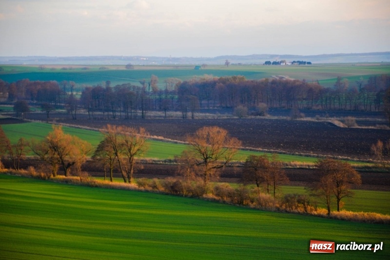 Zdjęcie w galerii na portalu naszraciborz.pl: Zobaczcie, co przy dobrej pogodzie widać z pietrowickiej wieży wiadomości z regionu