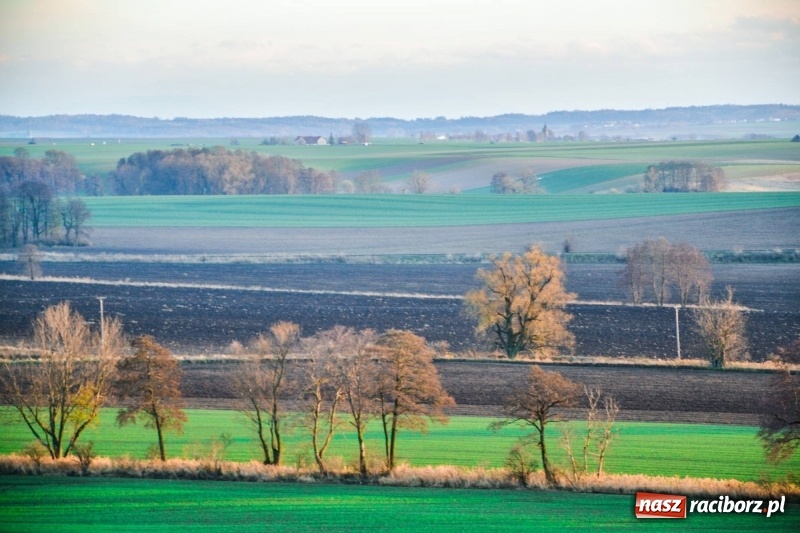 Zdjęcie w galerii na portalu naszraciborz.pl: Zobaczcie, co przy dobrej pogodzie widać z pietrowickiej wieży wiadomości z regionu