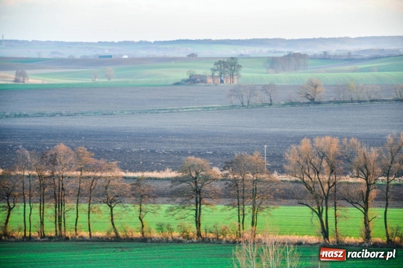 Zdjęcie w galerii na portalu naszraciborz.pl: Zobaczcie, co przy dobrej pogodzie widać z pietrowickiej wieży wiadomości z regionu