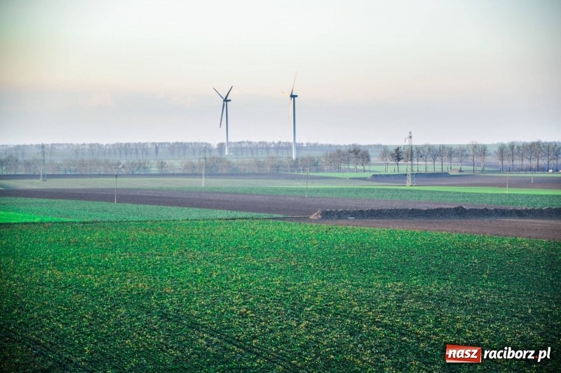 Zdjęcie w galerii na portalu naszraciborz.pl: Zobaczcie, co przy dobrej pogodzie widać z pietrowickiej wieży wiadomości z regionu