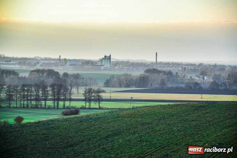 Zdjęcie w galerii na portalu naszraciborz.pl: Zobaczcie, co przy dobrej pogodzie widać z pietrowickiej wieży wiadomości z regionu