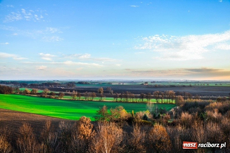 Zdjęcie w galerii na portalu naszraciborz.pl: Zobaczcie, co przy dobrej pogodzie widać z pietrowickiej wieży wiadomości z regionu