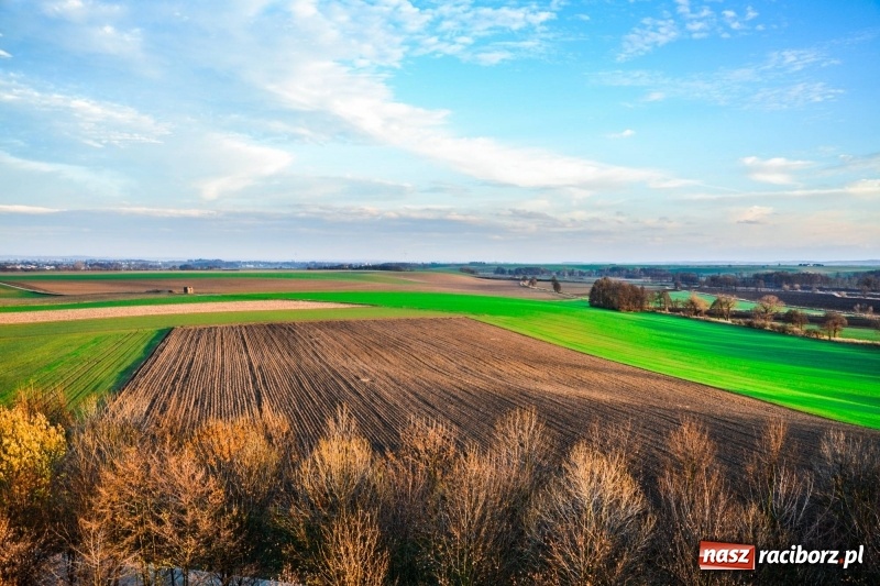 Zdjęcie w galerii na portalu naszraciborz.pl: Zobaczcie, co przy dobrej pogodzie widać z pietrowickiej wieży wiadomości z regionu