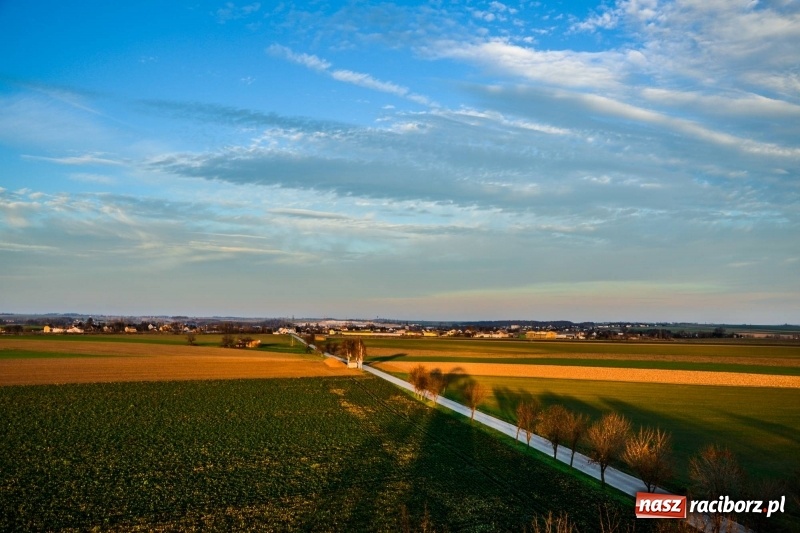 Zdjęcie w galerii na portalu naszraciborz.pl: Zobaczcie, co przy dobrej pogodzie widać z pietrowickiej wieży wiadomości z regionu
