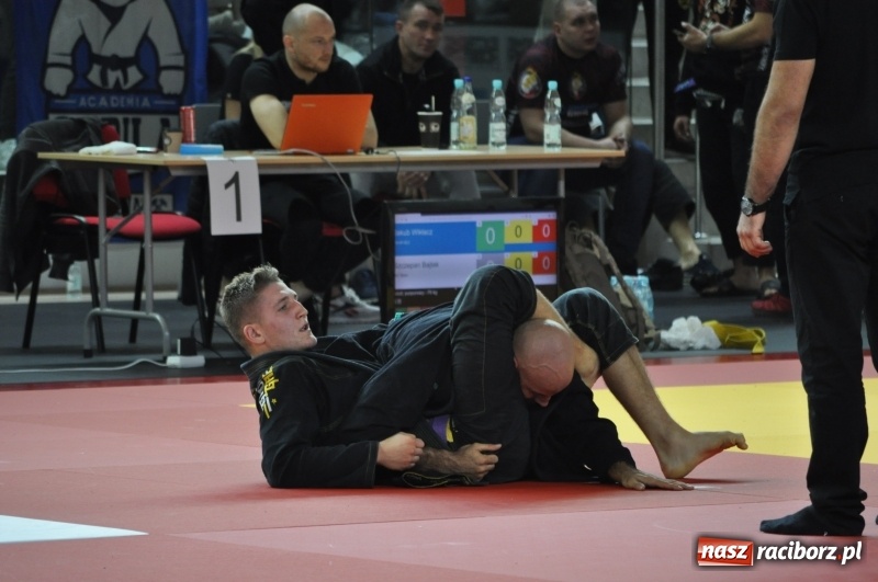 Zdjęcie w galerii na portalu naszraciborz.pl: Świetny występ Patryka Ogonowskiego na XIV Mistrzostwach Polski w brazylijskim jiu-jitsu wiadomości z regionu