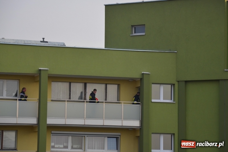 Zdjęcie w galerii na portalu naszraciborz.pl: Na Ogrodowej ktoś podpalił wycieraczki przy drzwiach  wiadomości z regionu