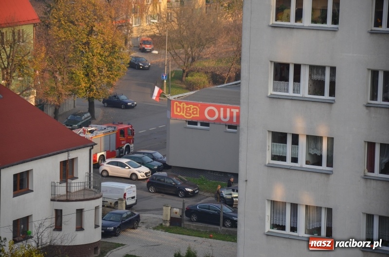Zdjęcie w galerii na portalu naszraciborz.pl: Na Ogrodowej ktoś podpalił wycieraczki przy drzwiach  wiadomości z regionu
