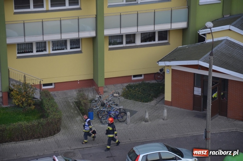 Zdjęcie w galerii na portalu naszraciborz.pl: Na Ogrodowej ktoś podpalił wycieraczki przy drzwiach  wiadomości z regionu