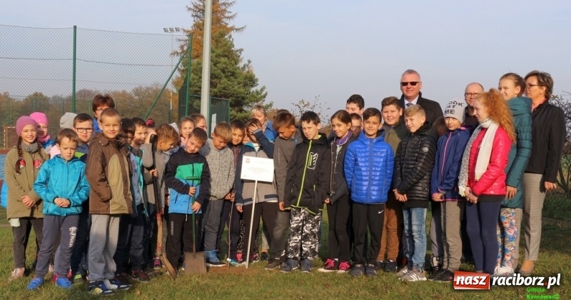 Zdjęcie w galerii na portalu naszraciborz.pl: Gmina Kornowac. Cztery klony na stulecie Niepodległości wiadomości z regionu