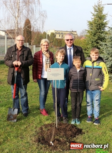 Zdjęcie w galerii na portalu naszraciborz.pl: Gmina Kornowac. Cztery klony na stulecie Niepodległości wiadomości z regionu