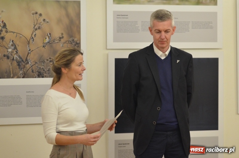 Zdjęcie w galerii na portalu naszraciborz.pl: Żywy album przyrody. Górna Odra może zachwycić  wiadomości z regionu