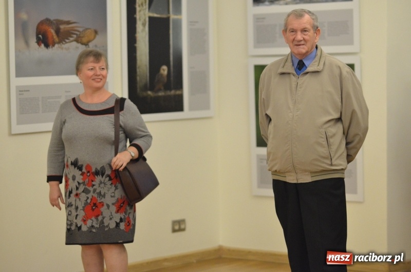 Zdjęcie w galerii na portalu naszraciborz.pl: Żywy album przyrody. Górna Odra może zachwycić  wiadomości z regionu