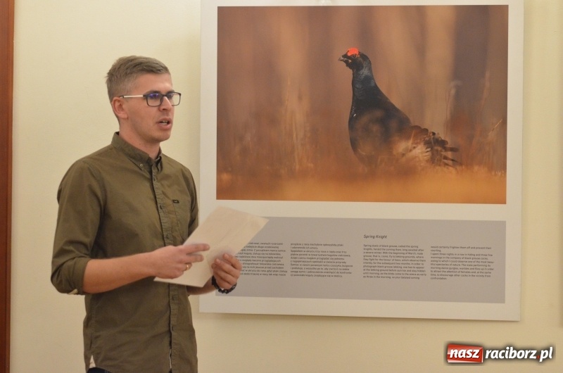 Zdjęcie w galerii na portalu naszraciborz.pl: Żywy album przyrody. Górna Odra może zachwycić  wiadomości z regionu