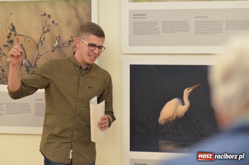 Zdjęcie w galerii na portalu naszraciborz.pl: Żywy album przyrody. Górna Odra może zachwycić  wiadomości z regionu