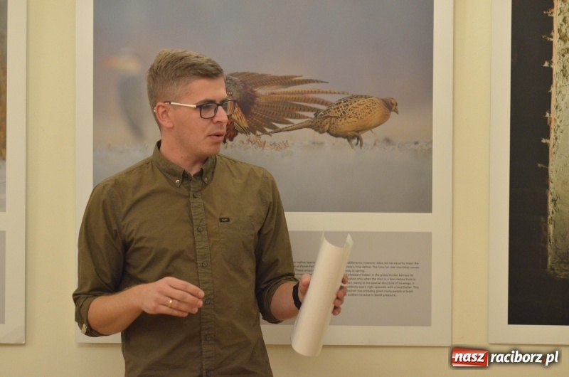 Zdjęcie w galerii na portalu naszraciborz.pl: Żywy album przyrody. Górna Odra może zachwycić  wiadomości z regionu