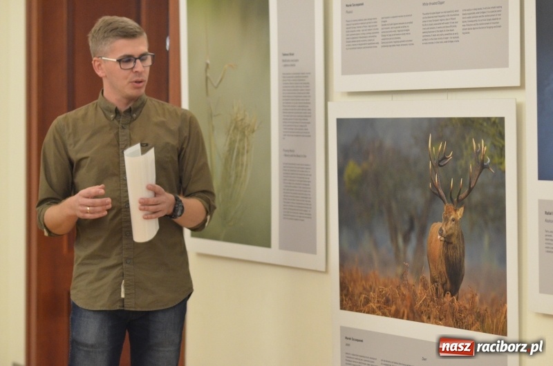 Zdjęcie w galerii na portalu naszraciborz.pl: Żywy album przyrody. Górna Odra może zachwycić  wiadomości z regionu
