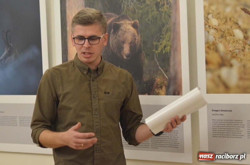 Zdjęcie w galerii na portalu naszraciborz.pl: Żywy album przyrody. Górna Odra może zachwycić  wiadomości z regionu