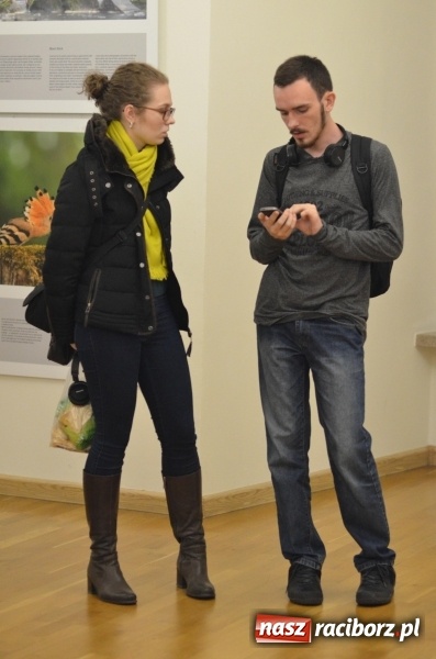 Zdjęcie w galerii na portalu naszraciborz.pl: Żywy album przyrody. Górna Odra może zachwycić  wiadomości z regionu