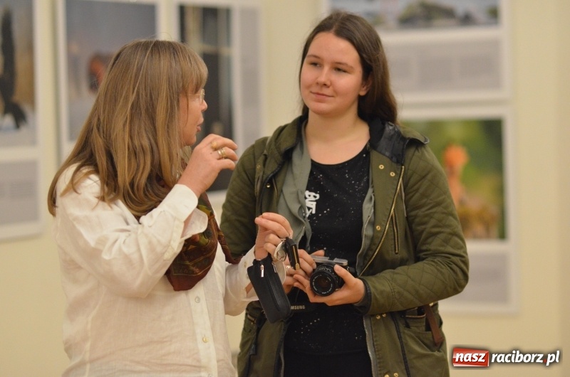 Zdjęcie w galerii na portalu naszraciborz.pl: Żywy album przyrody. Górna Odra może zachwycić  wiadomości z regionu