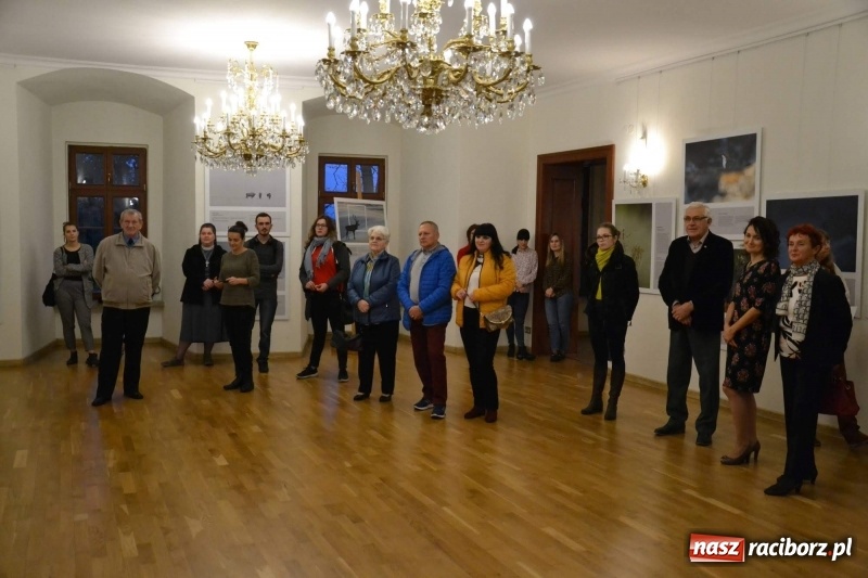 Zdjęcie w galerii na portalu naszraciborz.pl: Żywy album przyrody. Górna Odra może zachwycić  wiadomości z regionu