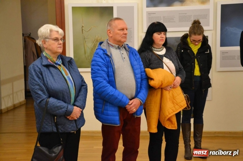 Zdjęcie w galerii na portalu naszraciborz.pl: Żywy album przyrody. Górna Odra może zachwycić  wiadomości z regionu