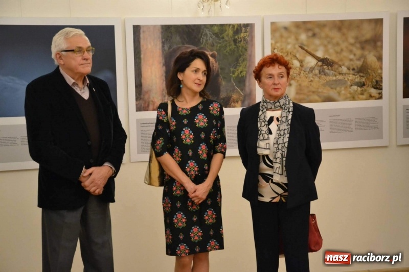 Zdjęcie w galerii na portalu naszraciborz.pl: Żywy album przyrody. Górna Odra może zachwycić  wiadomości z regionu