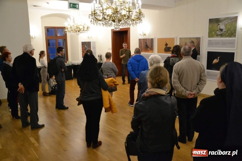 Zdjęcie w galerii na portalu naszraciborz.pl: Żywy album przyrody. Górna Odra może zachwycić  wiadomości z regionu