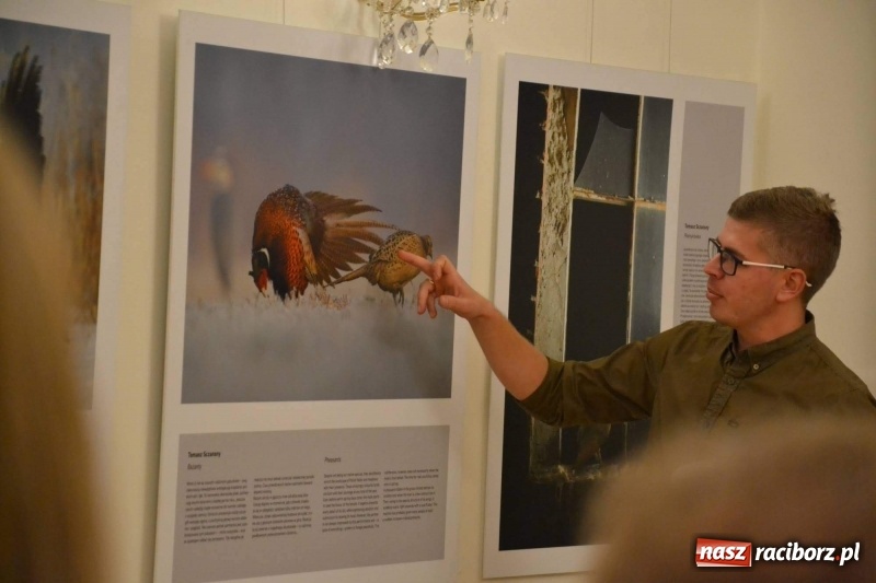 Zdjęcie w galerii na portalu naszraciborz.pl: Żywy album przyrody. Górna Odra może zachwycić  wiadomości z regionu