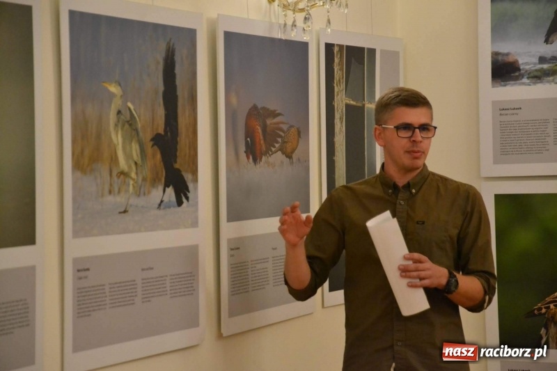 Zdjęcie w galerii na portalu naszraciborz.pl: Żywy album przyrody. Górna Odra może zachwycić  wiadomości z regionu