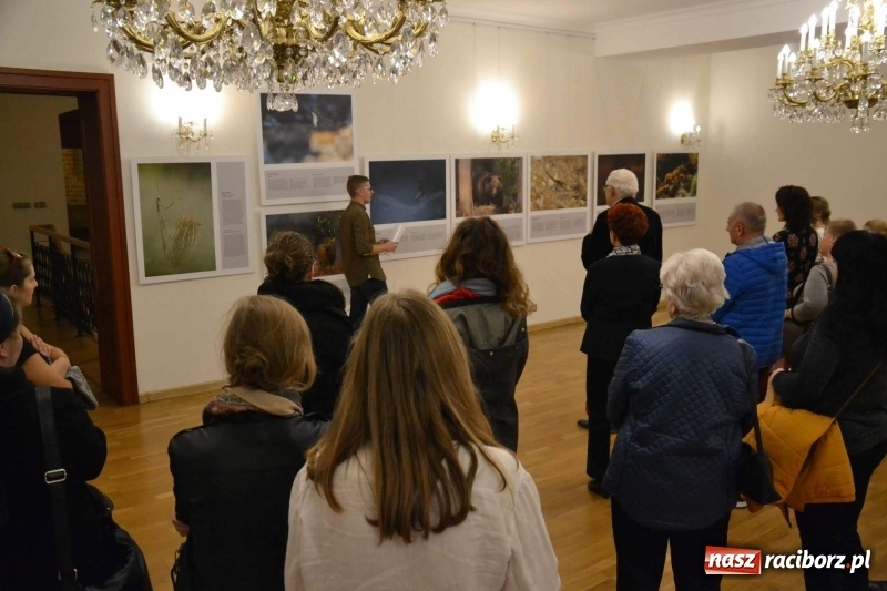 Zdjęcie w galerii na portalu naszraciborz.pl: Żywy album przyrody. Górna Odra może zachwycić  wiadomości z regionu